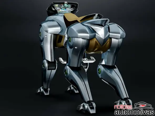 kawasaki corleo 3
