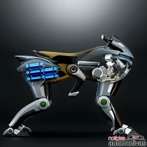kawasaki corleo 4