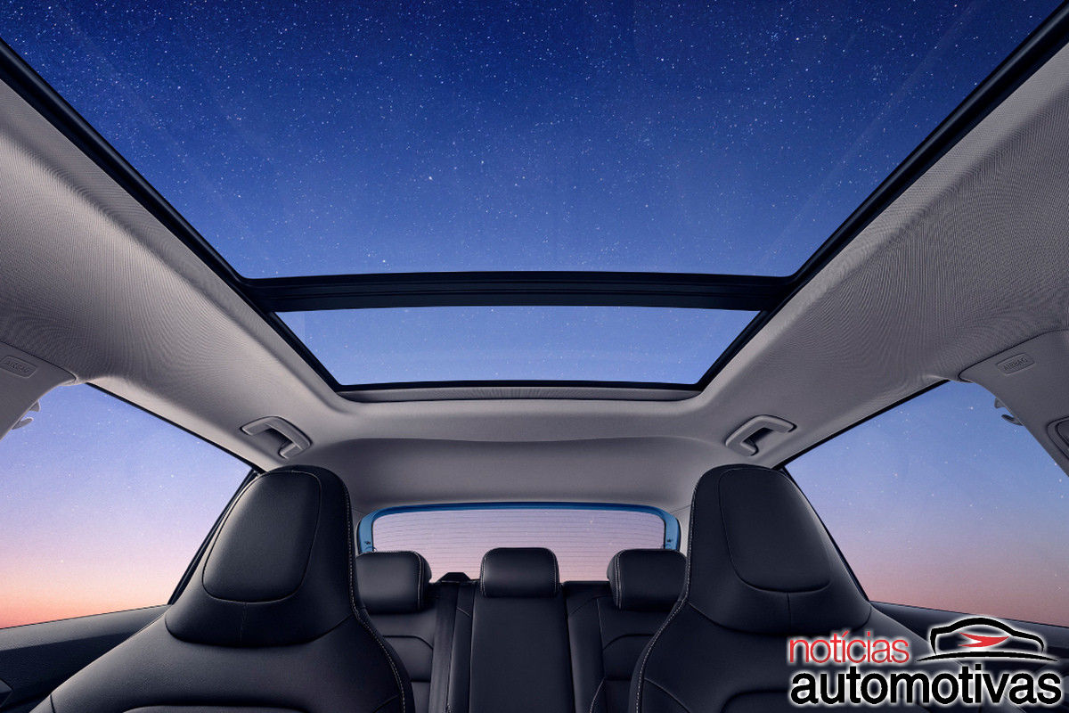 tharu xr oficial 7 tharu xr oficial 7