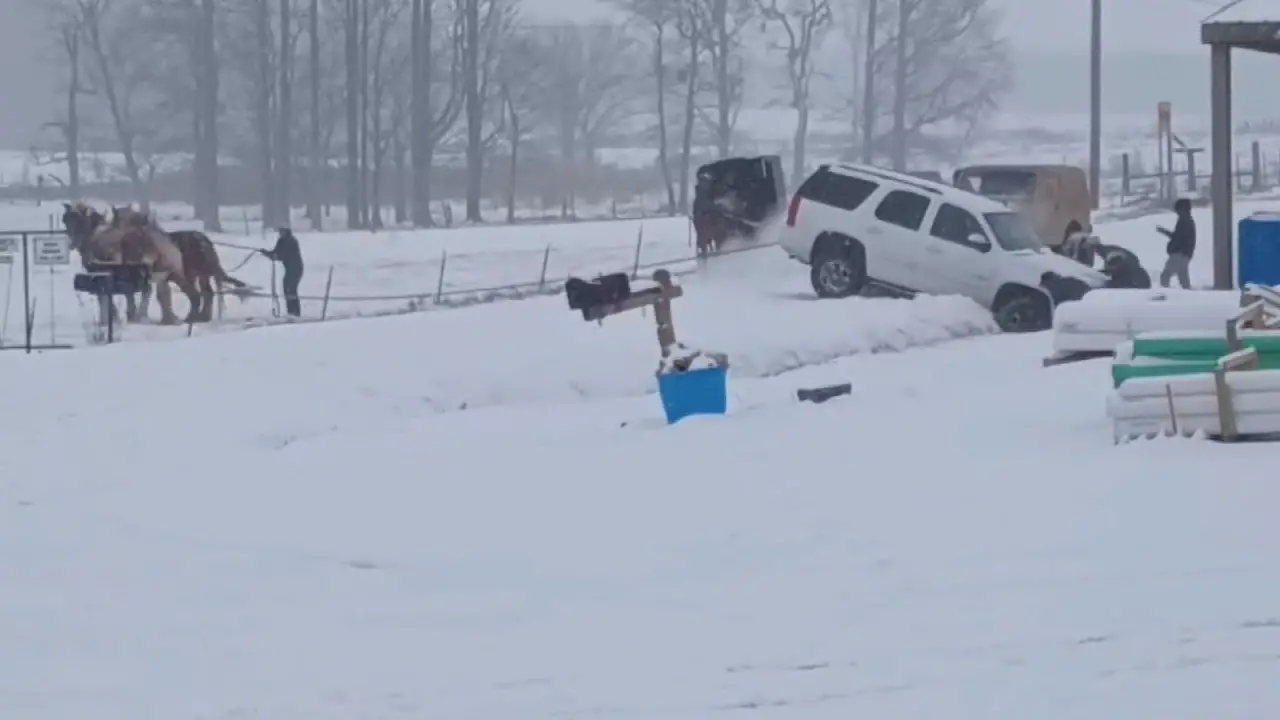 VIDEO | Amish man, horses help pull SUV out of snow in Ethridge, Tennessee