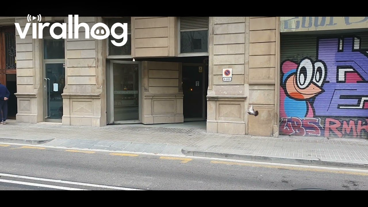 Invisible Garage Door Blends Seamlessly into Barcelona Building || ViralHog