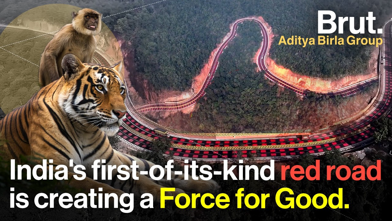 How India’s ‘Red Road’ Is a Step Towards Saving Animals & Preventing Accidents | Force For Good Hero