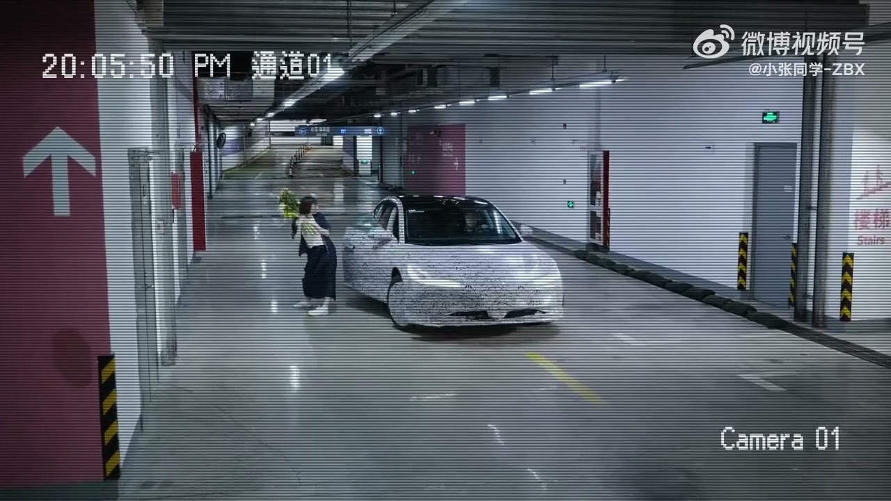 Parallel parking Zhiji L6 official