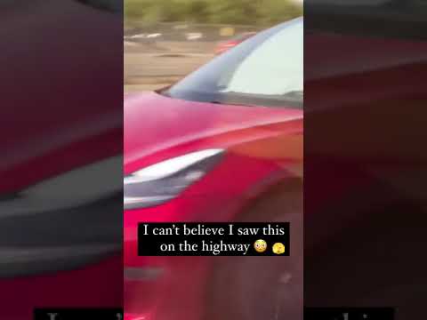 Tesla Autopilot Sem Noção